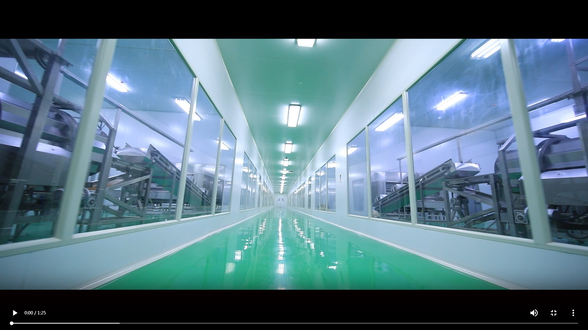 調味果仁烘烤生產線