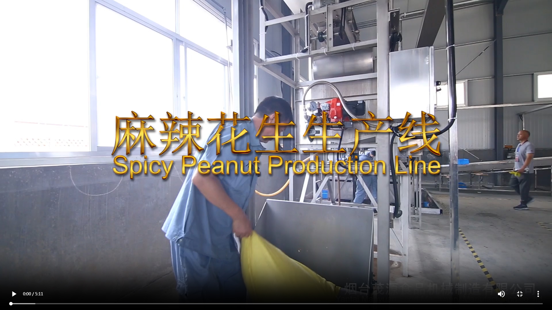 麻辣花生生產(chǎn)線
