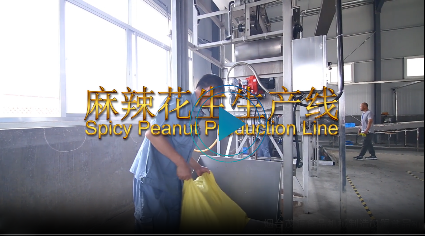 麻辣花生生產線