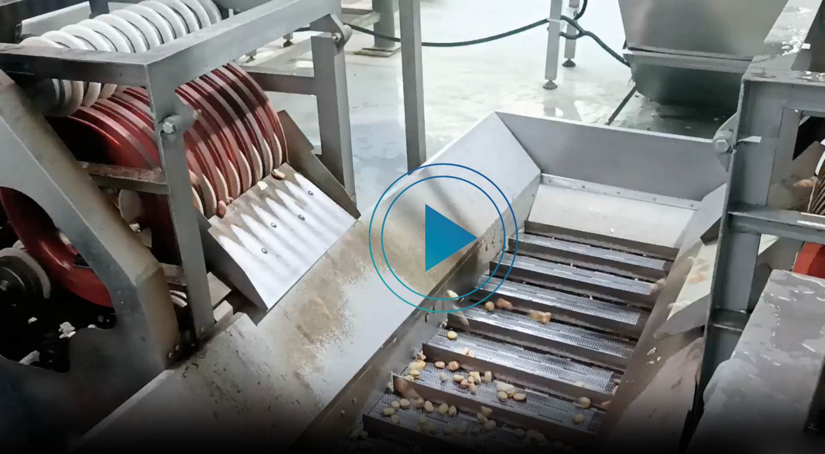 蠶豆油炸生產線